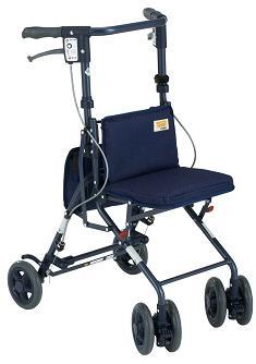 ϥɥ뤬֤ˤȤ䤹СƥΡ1001_point_west2