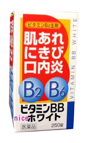 ѱꡢꡢ˥ӥߥBBۥ磻ȡ250