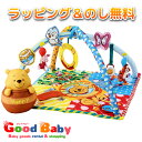 ★ラッピング(簡易包装)&のし無料★くまのプーさんてあそびいっぱいボックスにへんしんジム【タカラトミー】