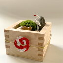 盆栽 苔盆栽 コケ 鶴亀苔枡苔ぼんさい【水引】引き出物父の日 母の日 開店祝い 結婚祝い 敬老の日 おめでたい 縁起物 こけのむすまで 末永く幸せ