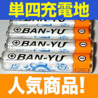 激安【充電式 単4形ニッケル水素電池】1.2V 700mAh繰り返し使える♪単4型ニッケル水素充電池（中身はSANYO製・三洋製とのこと!!）