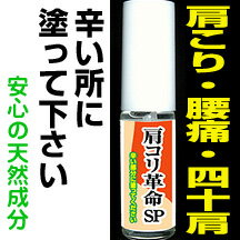 新登場!【肩こり革命SP】辛い所に塗ってください肩凝り、腰痛、四十肩等々【格安送料590円】人気爆発のおすすめ商品!!只今、お試し価格!