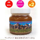 アンディーノ 生はちみつ 純正活性 ハチミツ 400g2個セ...