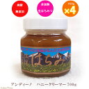 アンディーノ 生ハチミツ 純正活性 はちみつ 700g4個セ...