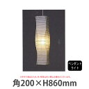 Type Gペンダントライト PL-52LED ヒモ(プルスイッチ)なし (LED)