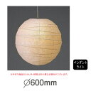 春雨紙シリーズ TP-24HLED ヒモ(プルスイッチ)なし (LED)