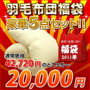 【マラソンP10】【ポイント10倍(12/20 9：59迄)】【53%OFF】 【2万円】★ロイヤルゴールドラベル★羽毛布団福袋（ダウン93%） シングル【送料無料】【smtb-k】【ky】【YDKG-k】【ky】広告掲載店舗【冬のインテリアフェア101111】送料無料