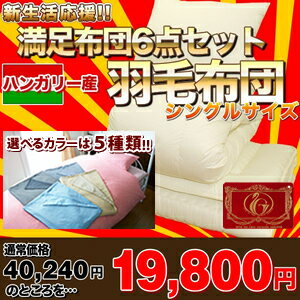 【送料無料】【51%OFF】 ★エクセルゴールドラベル★新生活応援！満足タイプ！掛・敷・枕・各種カバー6点 羽毛布団セット シングル【送料無料】