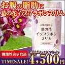 【送料無料/30%OFF!】お腹の脂肪に 葛の花イソフラボンスリム(120粒入)ダイエット サプリメント サプリ 脂肪 内臓脂肪 減少 葛の花 イソフラボン お腹引き締め 体重 ウエストサイズ 肥満 機能性表示食品