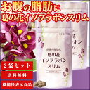お腹の脂肪に 葛の花イソフラボンスリム(120粒入/約1ヶ月分)20%OFF 2袋セット ダイエッ