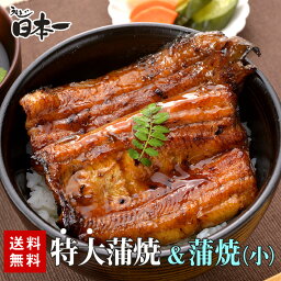 【送料無料】国産 特大蒲焼 140g+うなぎ蒲焼(小) 90gお試しセット/ タレ<strong>小袋</strong>付/お祝い お礼 内祝 お返し 手土産 ギフト 誕生日 お取り寄せ 鰻 ひつまぶし うな重 国産 贈答 贈り物 グルメ 母の日 [otamesi04]