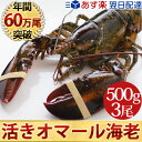 天然 活オマール海老(500g)3尾入BBQに!ギフトにも最...