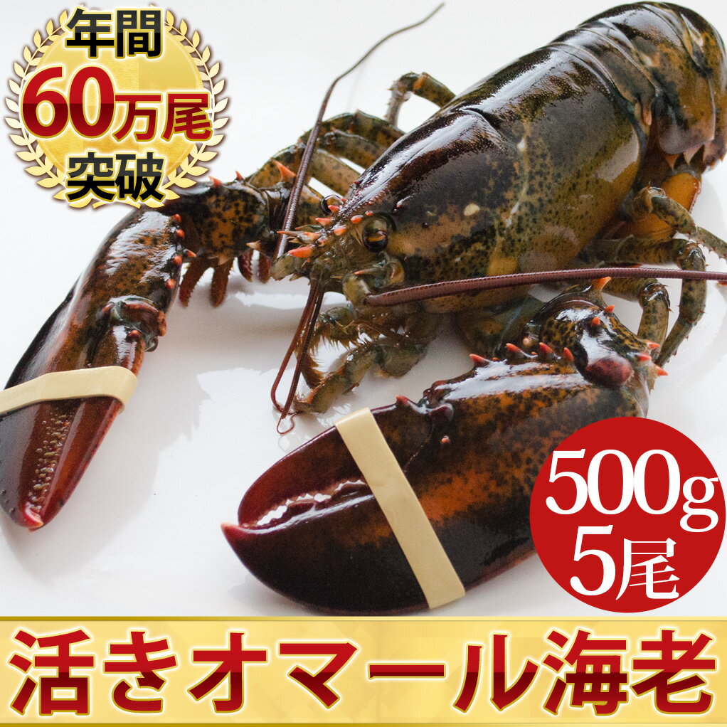 天然 活オマール海老（500g）5尾入...:nihonkatu:10000004