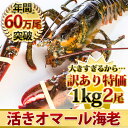 天然 活JAMBOオマール海老 1kg前後 2尾《限定特価》BBQに!ギフトにも最適!