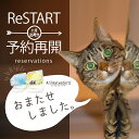 ペットが嫌がらないマウスケア!【アニマルウォーター2】動物病...