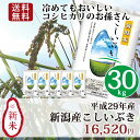 【送料無料】平成29年産新米 新潟産こしいぶき 30kg(5kg×6) コシヒカリの特徴「味」「ツヤ」「粘り」を受け継ぎ、しっかりとした食感!冷めても美味しいコシイブキ|お弁当に最適!コシヒカリにも負けない味!