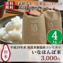 【送料無料】平成29年産新米 いなほんぽ米4kg(2kg×2)☆中身は新潟産コシヒカリの無洗米!忙しい方におススメこしひかり|どんな料理とも相性が良いさっぱりとした食感☆素朴でホッとするパッケージで仕送りや贈り物に♪