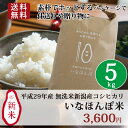 【送料無料】平成29年産新米 いなほんぽ米5kg☆中身は新潟産コシヒカリの無洗米!忙しい方におススメこしひかり|どんな料理とも相性が良いさっぱりとした食感☆素朴でホッとするパッケージで仕送りや贈り物に♪