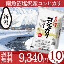 ★ポイント5倍 4月24日9:59迄★魚沼産コシヒカリ 塩沢産 10kg(5kg×2) 送料無料 お米 新潟 平成29年産 ブランド米 ギフト 贈り物 プレゼント 賞品 景品 お礼 内祝い お中元 お歳暮 まとめ買い