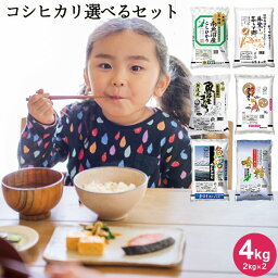 いなほんぽのコシヒカリ選べるセット 4kg(<strong>2kg</strong>×2) ｜米 <strong>2kg</strong> 送料無料 美味しい お米 <strong>2kg</strong> <strong>無洗米</strong> コシヒカリ新潟 こしひかり 白米 新潟産 佐渡産 魚沼産 食べ比べ お試し 令和5年産