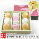 笑顔になれる最中味噌汁 10個セット(ハート×4 丸×6)【ラッピング可】【もなか/みそ汁】【父の日にも!ギフト・贈り物・内祝いに!のし(熨斗)包装無料】【送料無料】
