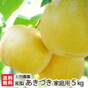 家庭用!土田農園の日本梨 新潟県産 あきづき 5k