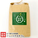【令和2年度新米】新潟産 炊きあがりが楽しみになるこしいぶき 玄米5kg 五十嵐利兵衛農園【新潟県産こしいぶき】【お中元に!贈り物・内祝いに!のし(熨斗)無料】【送料無料】