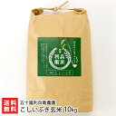 【令和2年度新米】新潟産 炊きあがりが楽しみになるこしいぶき 玄米10kg 五十嵐利兵衛農園【新潟県産こしいぶき】【お中元に!贈り物・内祝いに!のし(熨斗)無料】【送料無料】