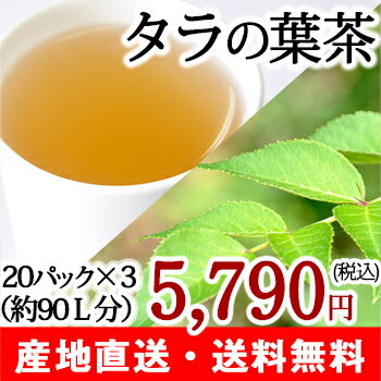 無農薬 タラの葉茶 タラ茶 20パック×3箱 カフェインフリーお茶【注目成分サポニン】【送…...:niigata-shop:10000073