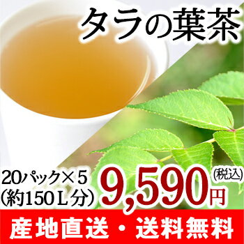 無農薬 タラの葉茶 タラ茶 20パック×5箱 カフェインフリーお茶【注目成分サポニン】【送…...:niigata-shop:10000074