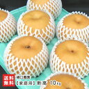 訳あり!樋口農園の日本梨 新潟県産 家庭用 新高 10kg【新高梨】【10月中旬頃から順次発送】【送料無料】