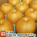 訳あり!樋口農園の日本梨 新潟県産 家庭用 南水