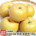 新潟産 岩福農園の日本梨 家庭用 新高 10kg(10〜18玉)【新高梨】【10月上旬頃から順次発送】【送料無料】