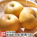 新潟産 窪田梨果園の日本梨 新高 10kg(10〜18玉)【新高梨】【10月上旬頃から順次発送】【ギフト・贈り物・内祝いに!のし(熨斗)無料】【送料無料】