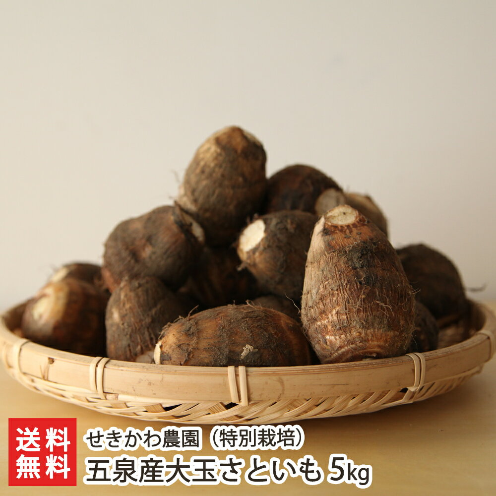 新潟五泉産大玉さといも（特別栽培）5kg せきかわ農園 【里芋/サトイモ/減農薬栽培/2L…...:niigata-shop:10000924