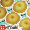 新潟産 日本梨 特選 新高 3kg(4〜6玉)三条果樹専門家...