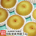 新潟産 日本梨 特選 新高 5kg(6〜8玉)三条果樹専門家...
