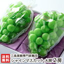 皮ごと食べられる種なしマスカット 新潟県産 シャインマスカット大房2房(1房500g以上)三条果樹専門家集団【8月中旬頃から順次発送】【ぶどう/葡萄/マスカット】【ギフト・贈り物・入学内祝いに!のし(熨斗)無料】【送料無料】