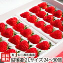 新潟ブランドいちご 越後姫 2Lサイズ 24?30個入(約800g)(有)安田興和農事【果物/苺/いちご/えちごひめ/ブランド苺/新潟県産/新潟/プチギフト】【送料無料】