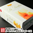 家庭用 新潟産ル・レクチェ 4〜7玉(2kg)亀田観光ブルー...
