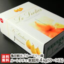 家庭用 新潟産ル・レクチェ 10〜14玉(4kg)亀田観光ブ...