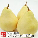 贈答用 新潟産ル・レクチェ 中玉 2kg...