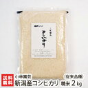 【令和2年度新米】新潟産コシヒカリ(従来品種) 精米2kg【新潟県産/こしひかり/非BL/従来種/従来型/クラシックコシヒカリ】【送料無料】
