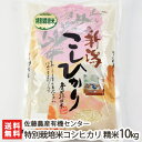 【令和2年度新米】新潟産 特別栽培米 従来品種コシヒカリ 精米10kg(2.5kg×4)佐藤農産有機センター【白米/うるち米/新潟県産/こしひかり/減農薬・減化学肥料/クラシックコシヒカリ/従来米】【お中元に!贈り物・内祝いに!のし(熨斗)無料】【送料無料】