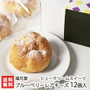 シュークリームスイーツ「ブルーベリーレアチーズ」12個入 福花堂【ブルーベリーソース/ミルク感/濃厚な味わい/レアチーズシュー】【送料無料】