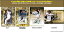 EPOCH 2016 オリックス・バファローズ STARS & ROOKIES トレーディングカード 11,200円