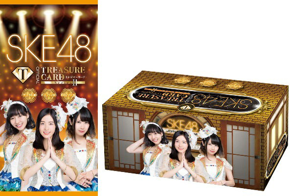 SKE48 official TREASURE CARD Series2 BOX...:niki:10024252