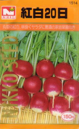 紅白20日大根　【春】【秋】プランター栽培にオススメ【サラダ野菜】