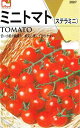 日光種苗 ミニトマト(ステラミニ) 1mL(約100粒) 【2887】【春】 【郵送対応】