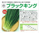 中原採種場 夏どりネギ ブラックキング 20ml【郵送対応】